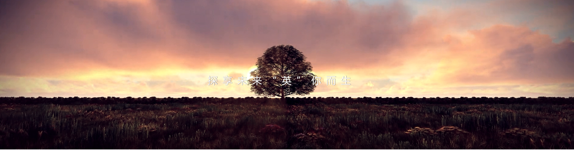 产品